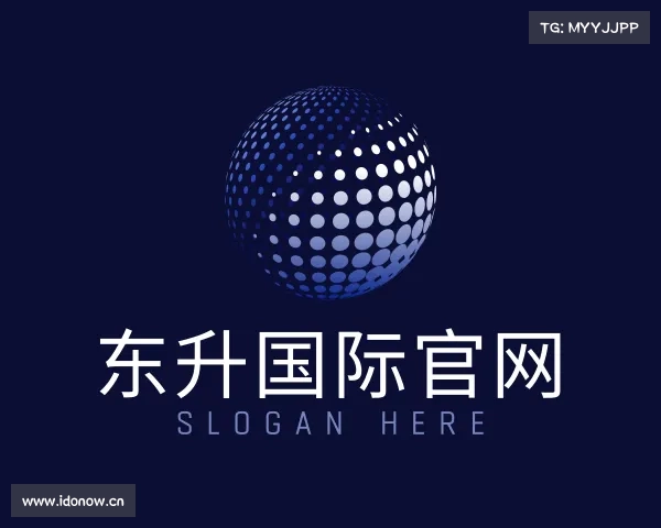 解读东升国际官网